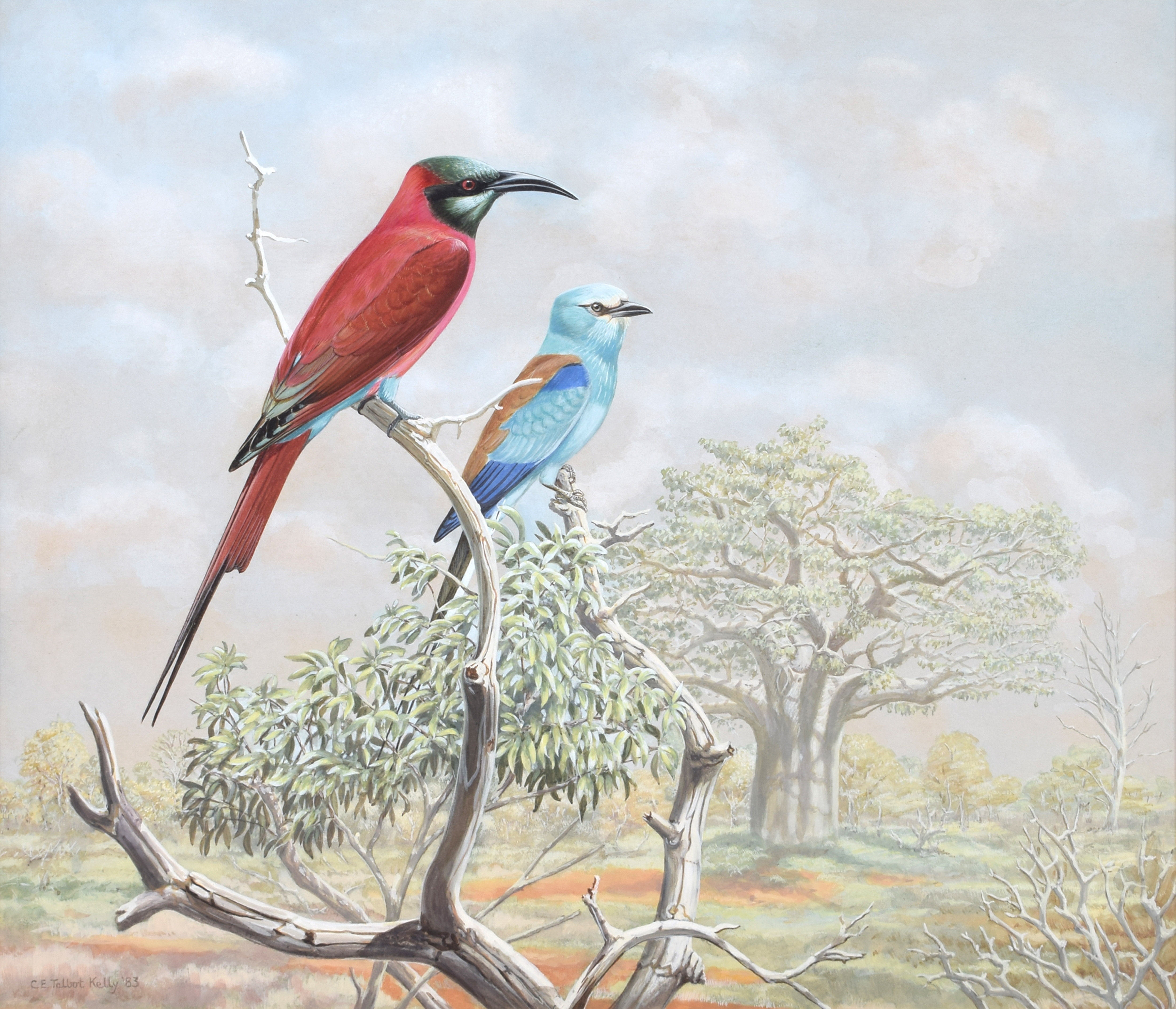 Bee-eater and Roller - Chloë Talbot-Kelly