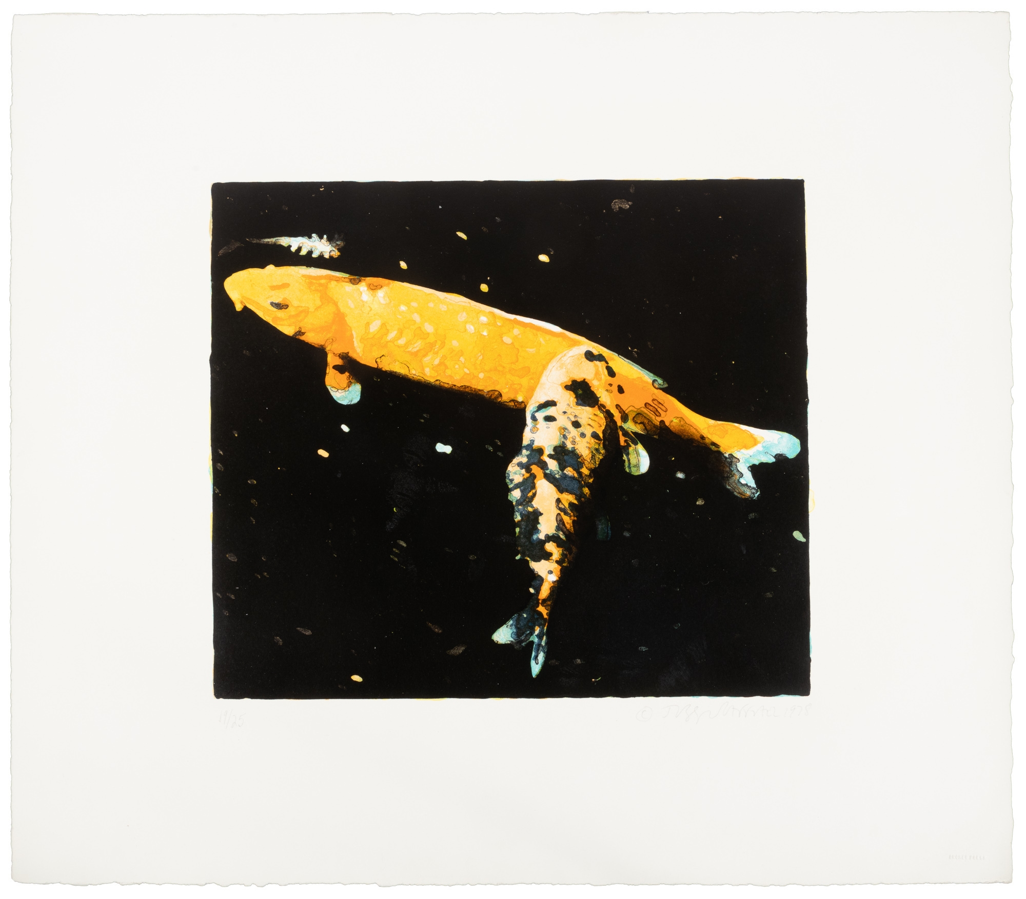 Joseph Raffael | Lily Pond Glistening | MutualArt