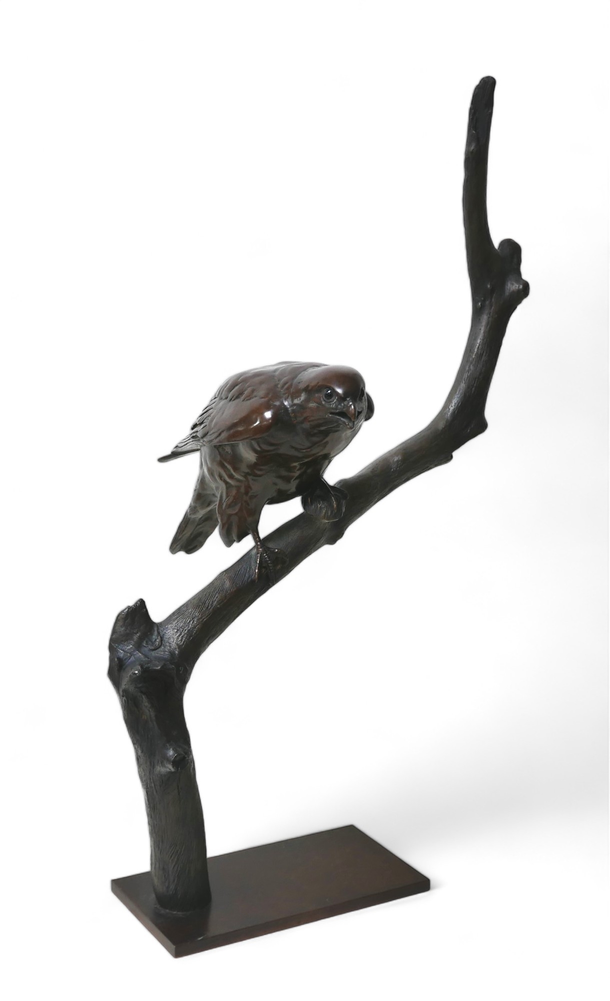 Alan Glasby | a limited edition life-sized of a Merlin perched upon a ...