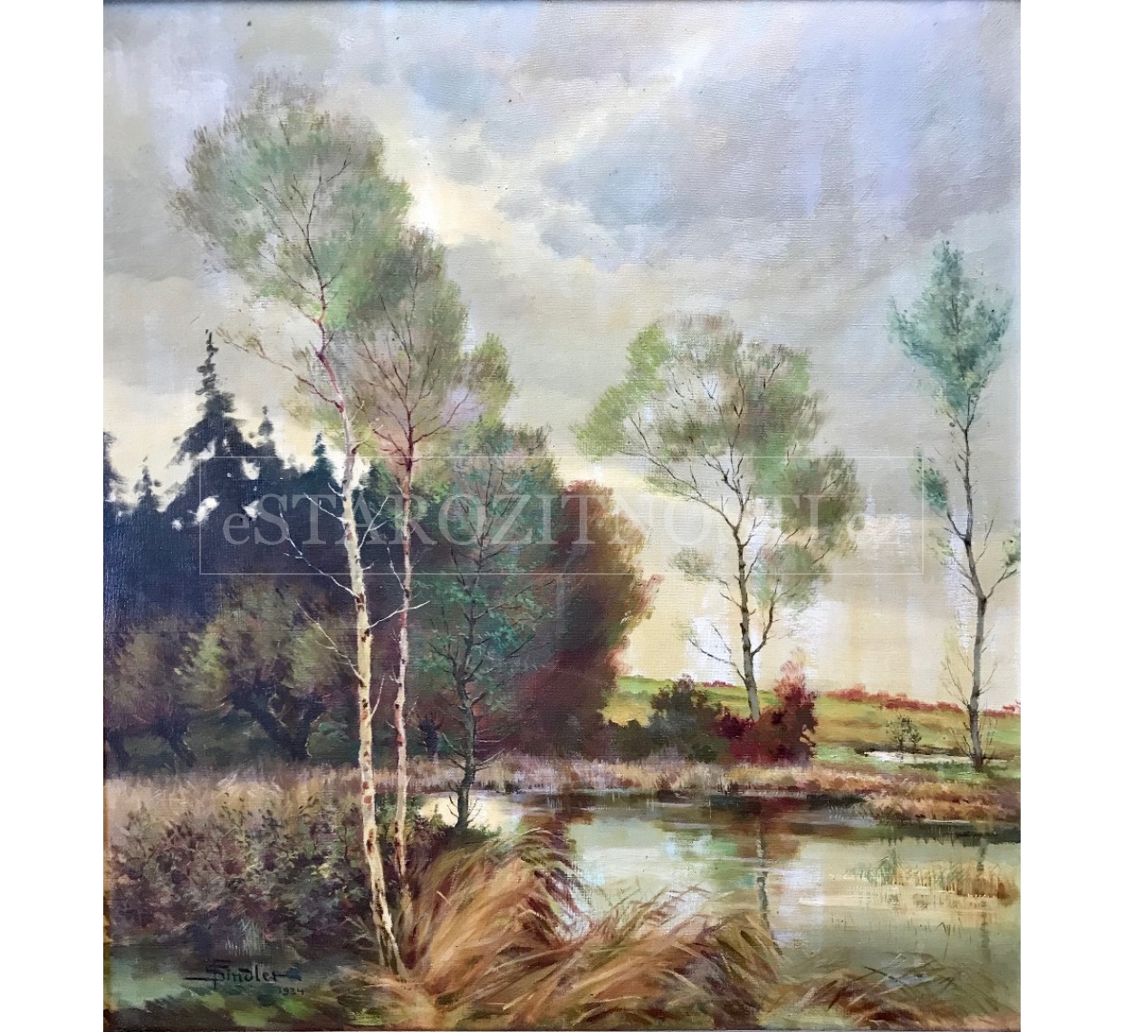 Artwork by František Šindler, Krajina se stromy, Made of oil on canvas