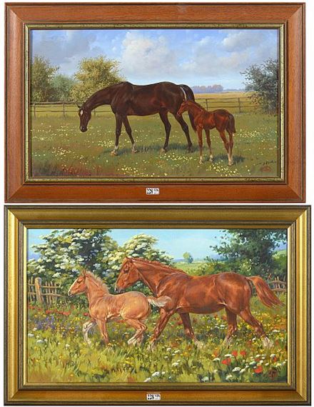 Juments et leur poulain