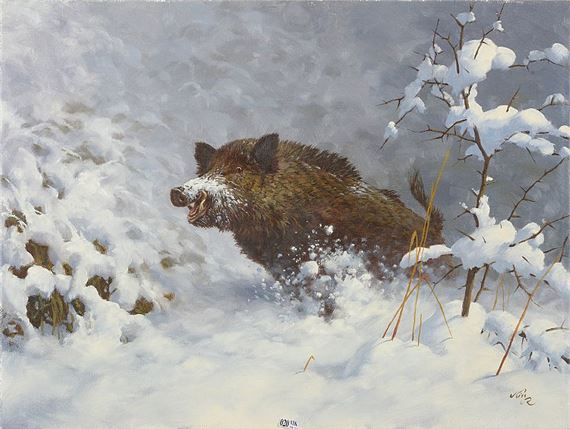 Sanglier dans la neige by Richárd Kiss