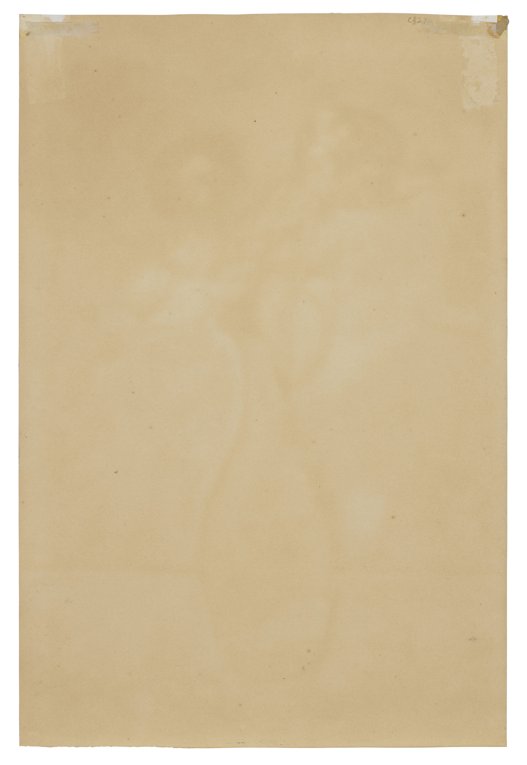 Artwork by Charles Sheeler, Zinnias, Made of gouache and pencil on paper