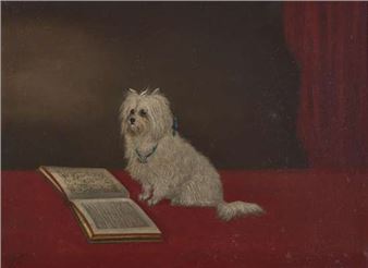 A Maltese Dog Reading - Edwin Loder