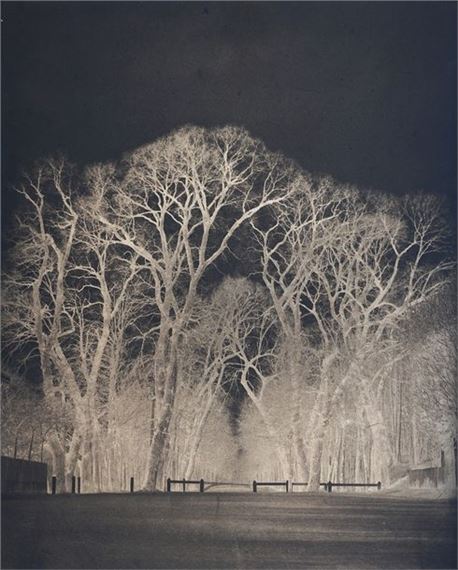Study of trees, park of the Château de Saint-Cloud by Louis Robert, circa 1852