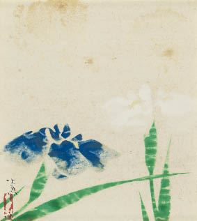 Iris by Seison Maeda