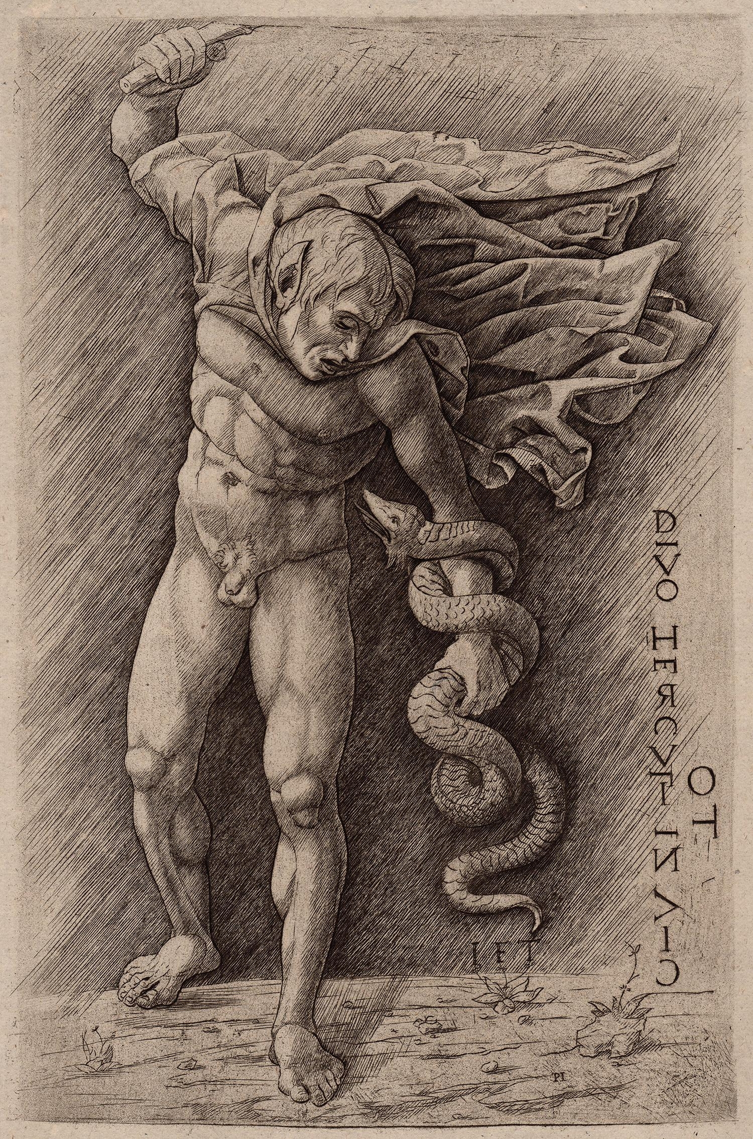 Hercules and the Hydra - Andrea Mantegna
