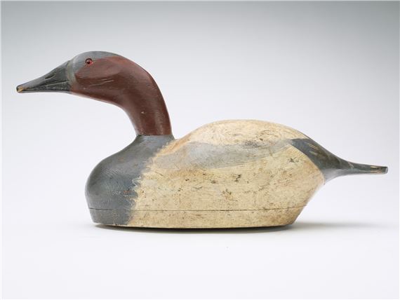 Canvasback by August Moak