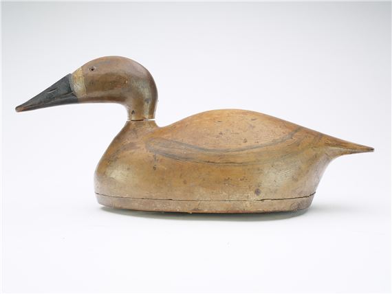 Canvasback hen by August Moak