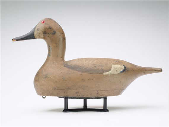 Canvasback hen by August Moak