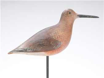 Dowitcher - John Dilley