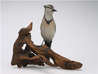 Bluejay - Charles W. Waterfield