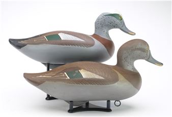 Pair of widgeon - Patrick Vincent