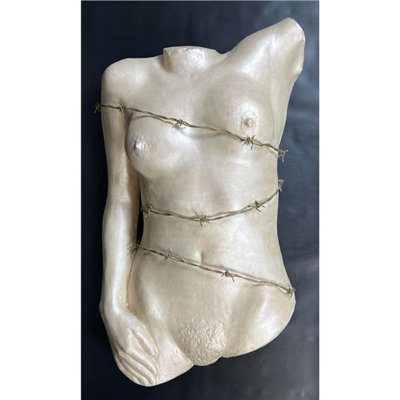 Plaster and Barbed Wire by Joe Canger