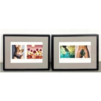 2pc SAM HASKINS Color Photographs in Two Frames - Sam Haskins