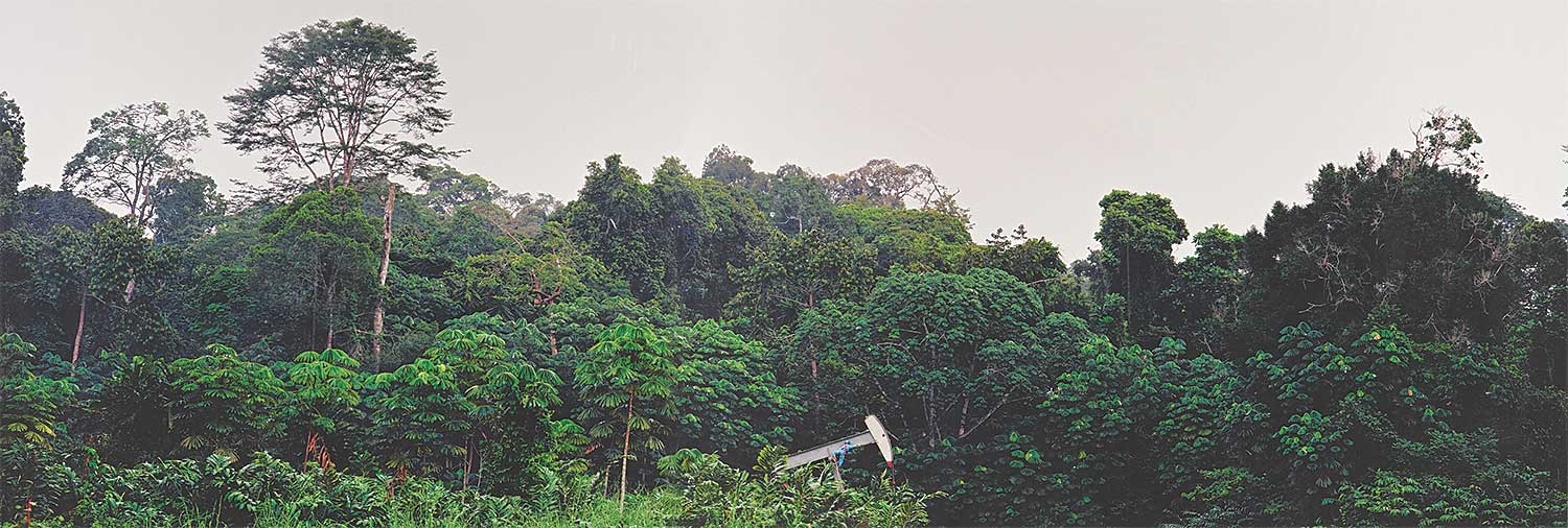 Simon Townsley Pumpjack Maintenance, Rainforest, Gabon (2003) MutualArt