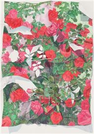 Juliet Jacobson: Named Rose