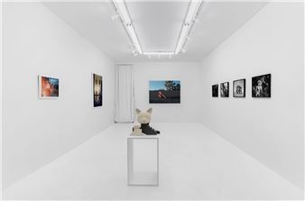 Face Arena - Central Fine