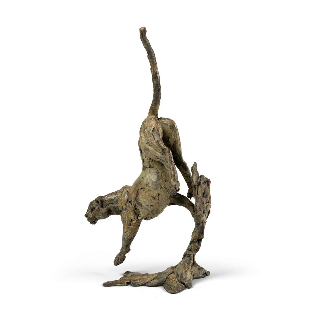 Hamish mackie leopard coming out of a tree 2008 2008 mutualart
