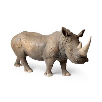 WHITE RHINO - Nichola Theakston