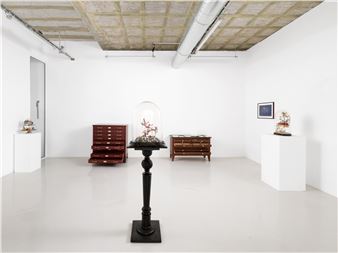 Mark Dion: Investigations, Inquiries And A Few Good Jokes - In Situ/Fabienne LeClerc