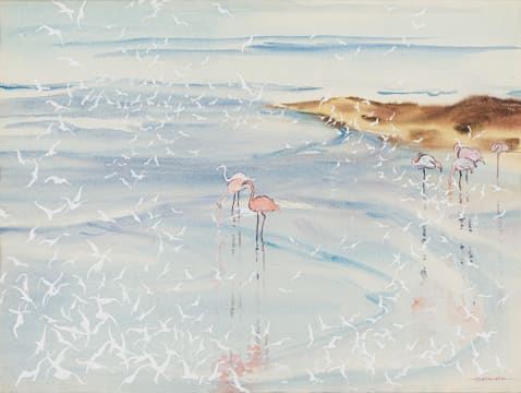 Flamingos by Richard Cheales