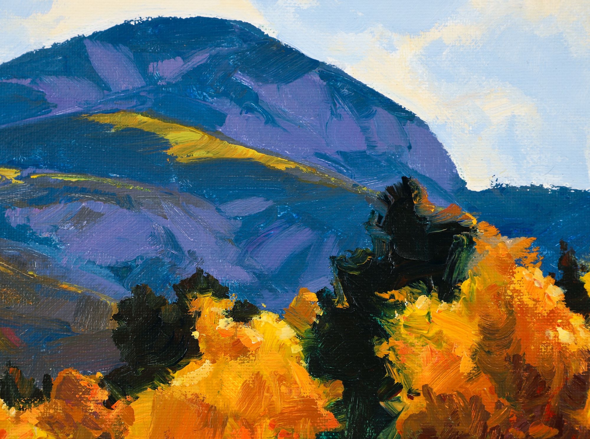 William Cather Hook | William Cather Hook Mountain Shadows Acrylic on ...