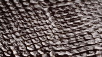 Franziska Baumgartner & Martin Fuchs: Vibrant - Ausstellungsraum Klingental