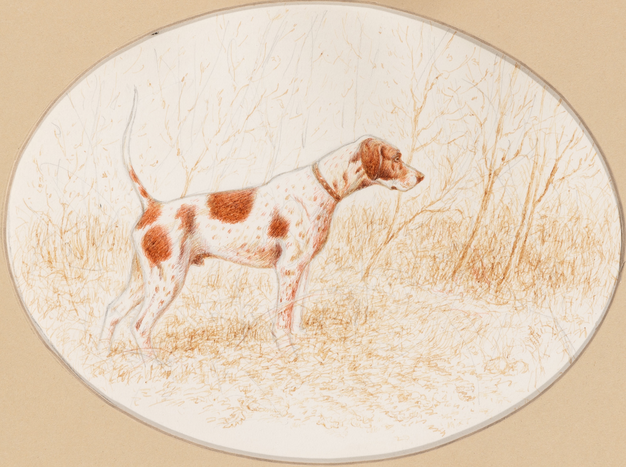 Artwork by Thomas H. Archer, Pointer on Point (ii) Brittany Spaniels in the Field, Made of Watercolor & pencil on paper on board