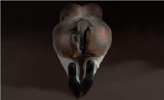 Erotic Codex - Honor Fraser