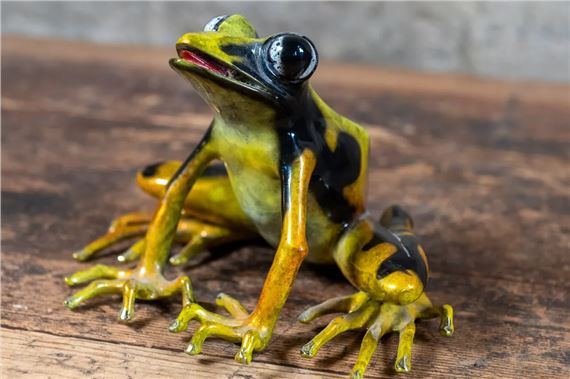 Darcy Yellow by Barry Stein