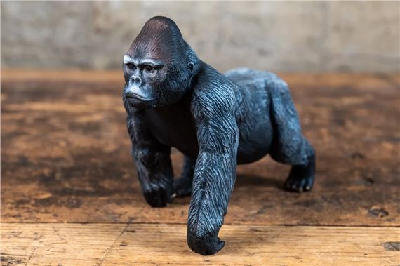 Silverback #1 by Barry Stein