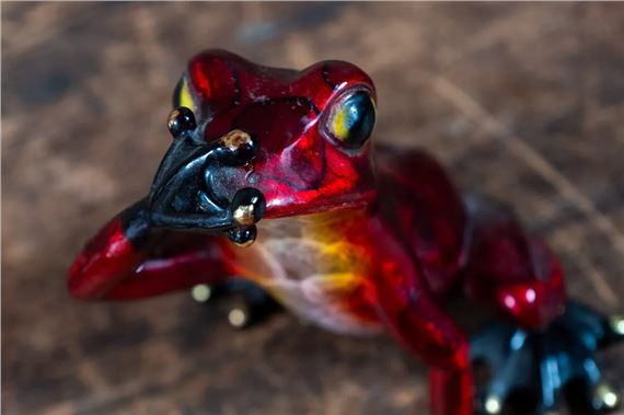 Speak No Evil Frog by Barry Stein