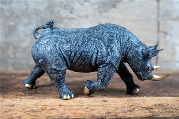 Black Rhinoceros by Barry Stein