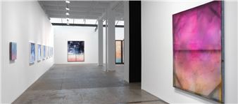 Chris Watts: Integration - Galerie Lelong & Co., New York