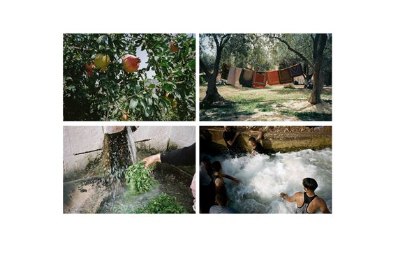 Adam Rouhana: Before Freedom Pt... | Exhibitions | MutualArt
