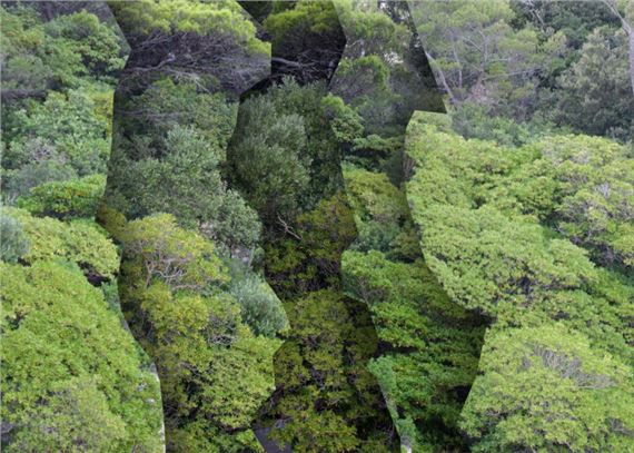 Unruly Splendor: Exploring Bodies Through The Spectrum Of Nature - Galerie im Körnerpark