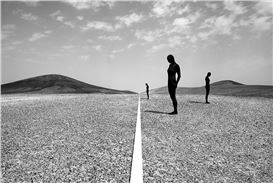Koster Fine Art Gallery Presents Astrid Verhoef in Amsterdam