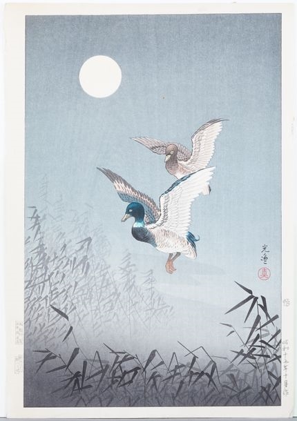 Ducks in flight - Tsuchiya Koitsu
