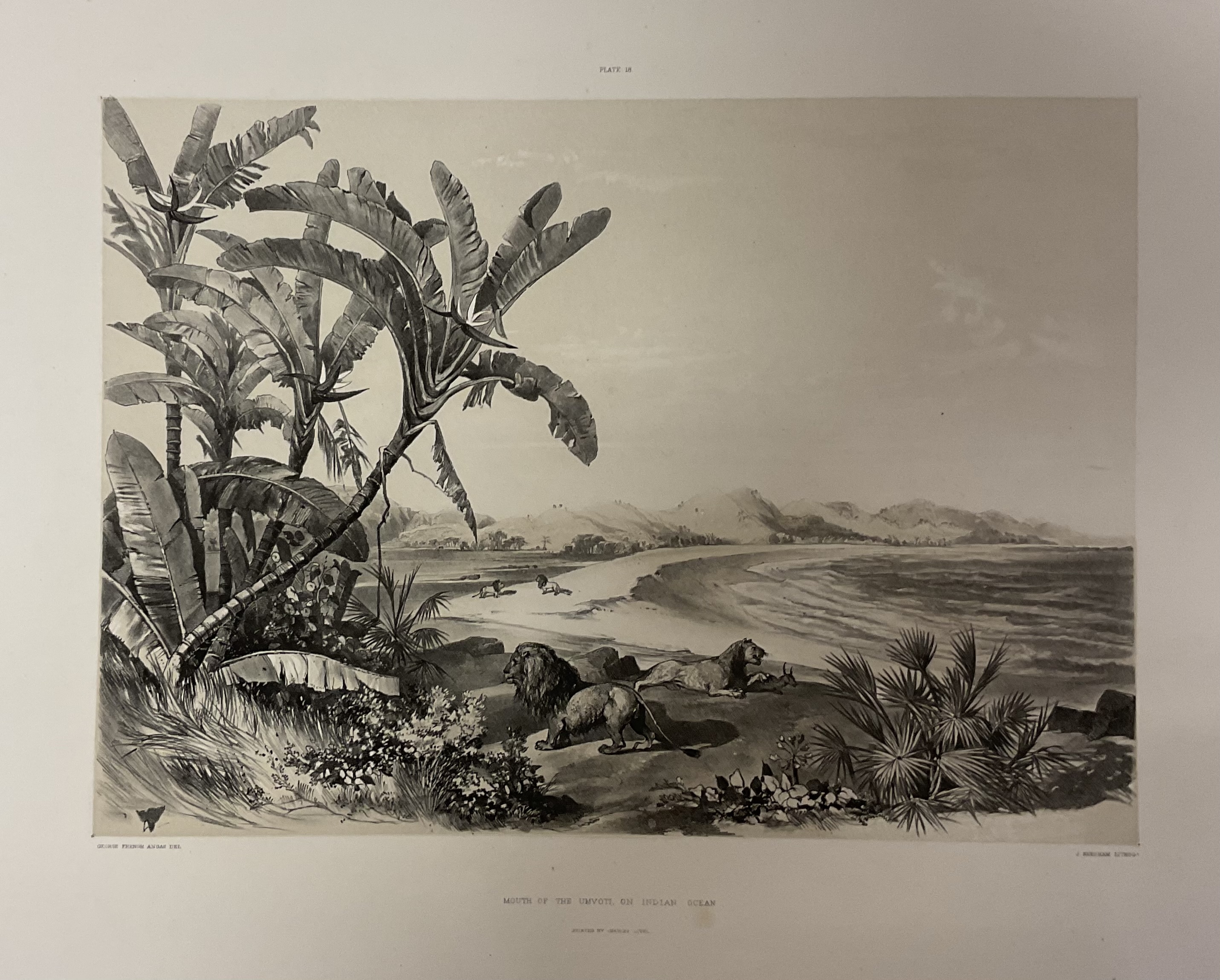 George French Angas | GEORGE FRENCH ANGAS; a collection of six ...