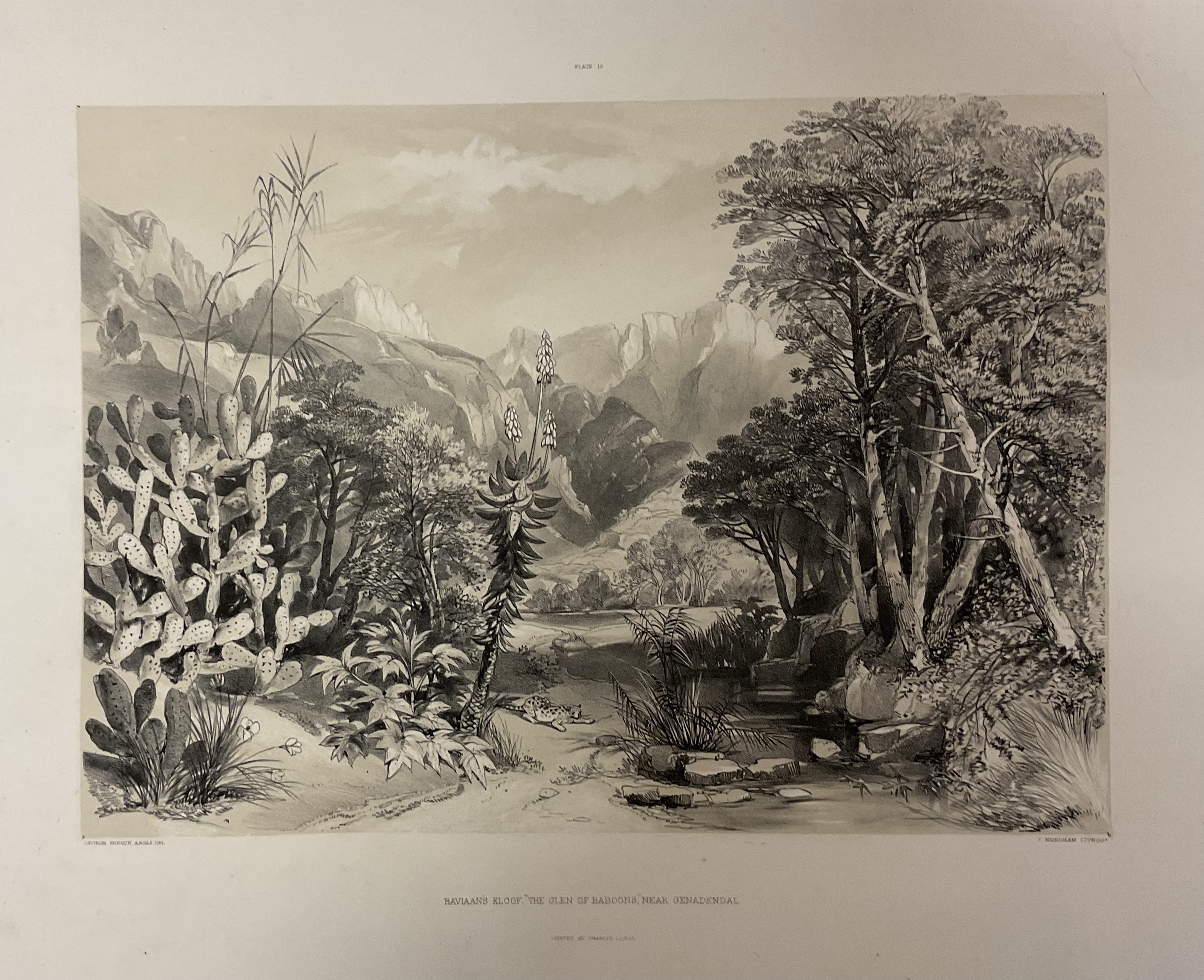 George French Angas | GEORGE FRENCH ANGAS; a collection of six ...