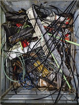 Thomas Struth: Nature & Politics - Marian Goodman Gallery, Paris