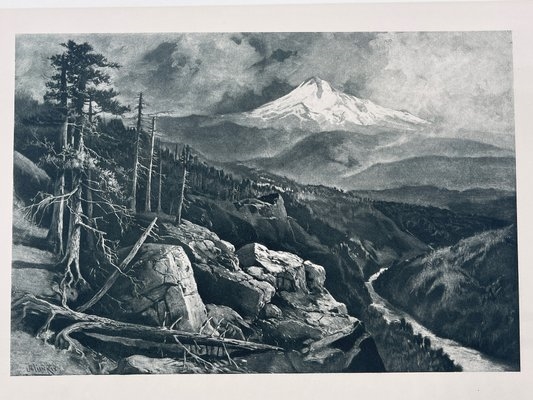 Julian Walbridge Rix | Sunlit forest river | MutualArt