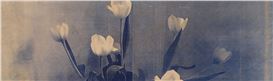 The Poise of Poppy Jones’s Solid Objects