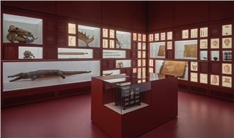 “Exposure. Art, Culture, Fashion In and Out of The Showcase” at MUDEC, Milan