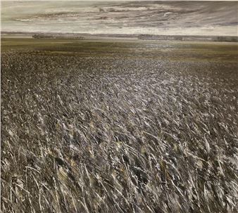 Untitled, 1996 - Hilary Dymond