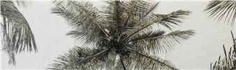 Bill Claps: Natural Abstractions Florida - Fabien Castanier Gallery 