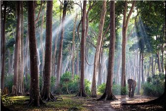90 Photos, 90 Women, 90 Years: ‘The Nature of Hope’ Celebrates Jane Goodall’s Incredible Contributions to Conservation