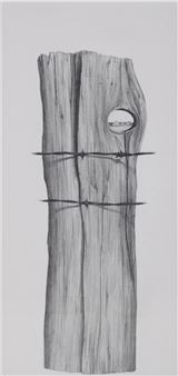 THE FENCE POST - Tib Beament