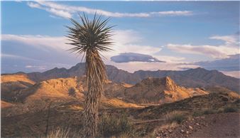 West Texas Photograph - Tom Kilk